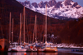 | Sease