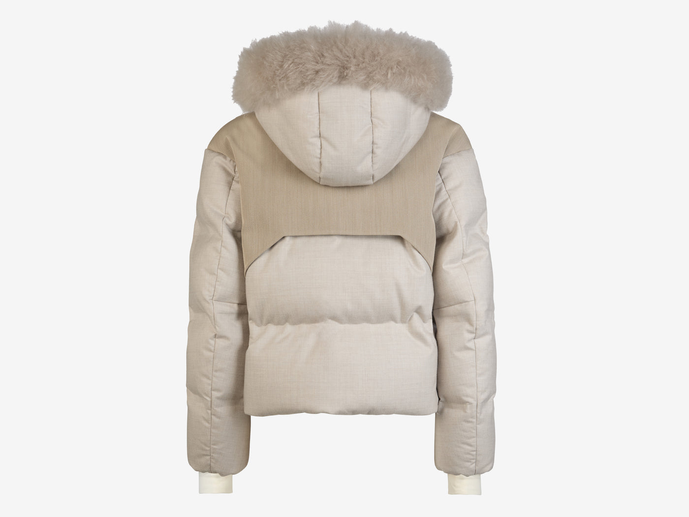 Arlo Vampire 3.0