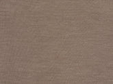 Lasca T-Shirt | Sease