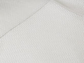 Turtle Net | Sease