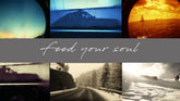 | Sease